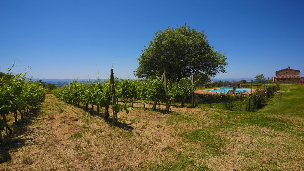 فيلا Tenuta Angelici Winery Casa Contea With Pool And Panoramic Pool Cortona Terontola الغرفة الصورة